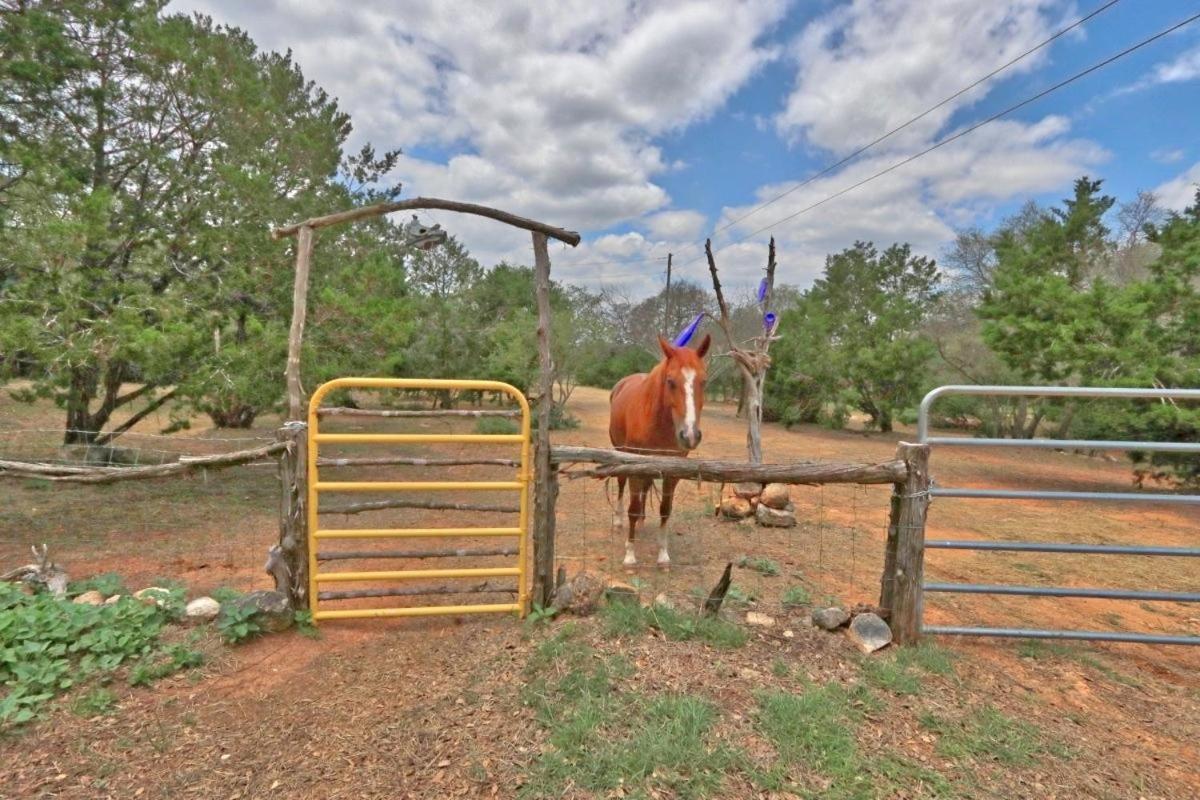 הוילה ג'ונסון סיטי Three Horses Ranch מראה חיצוני תמונה